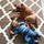 webuser_7539057