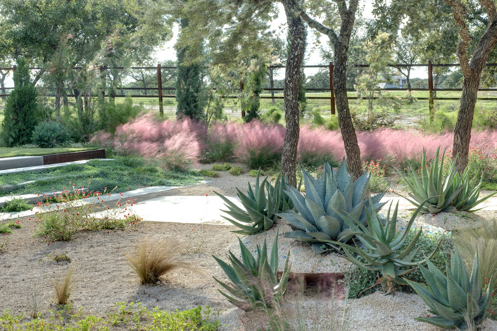 Design ideas for a modern xeriscape in Austin with gravel.