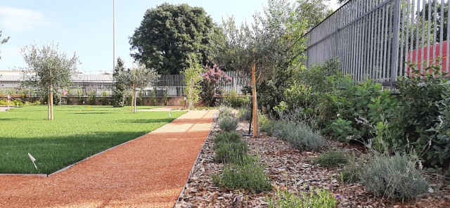 Verde scolastico modern-garten