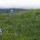 knut_hill