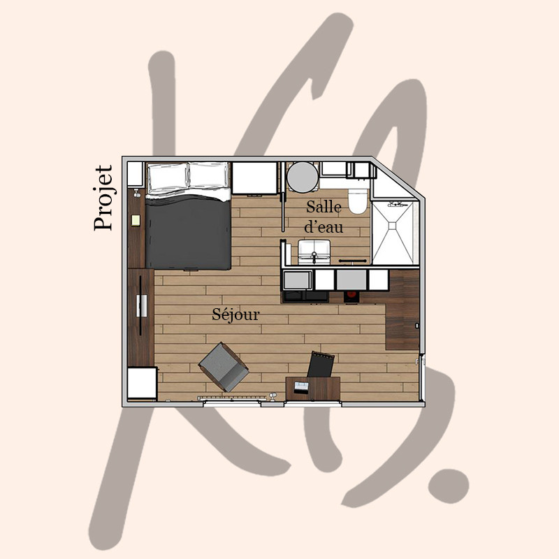Plan du projet de l'appartement
