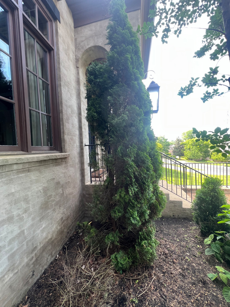 Cedar Shutter Restoration