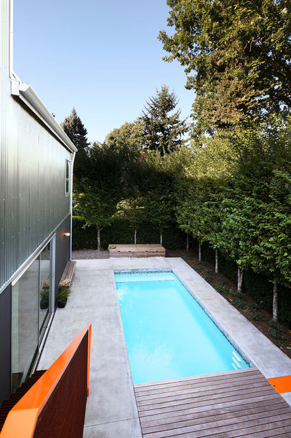 Flex Model contemporary-pool