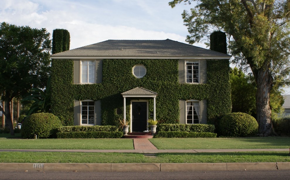 Clinging Vines Good or bad?