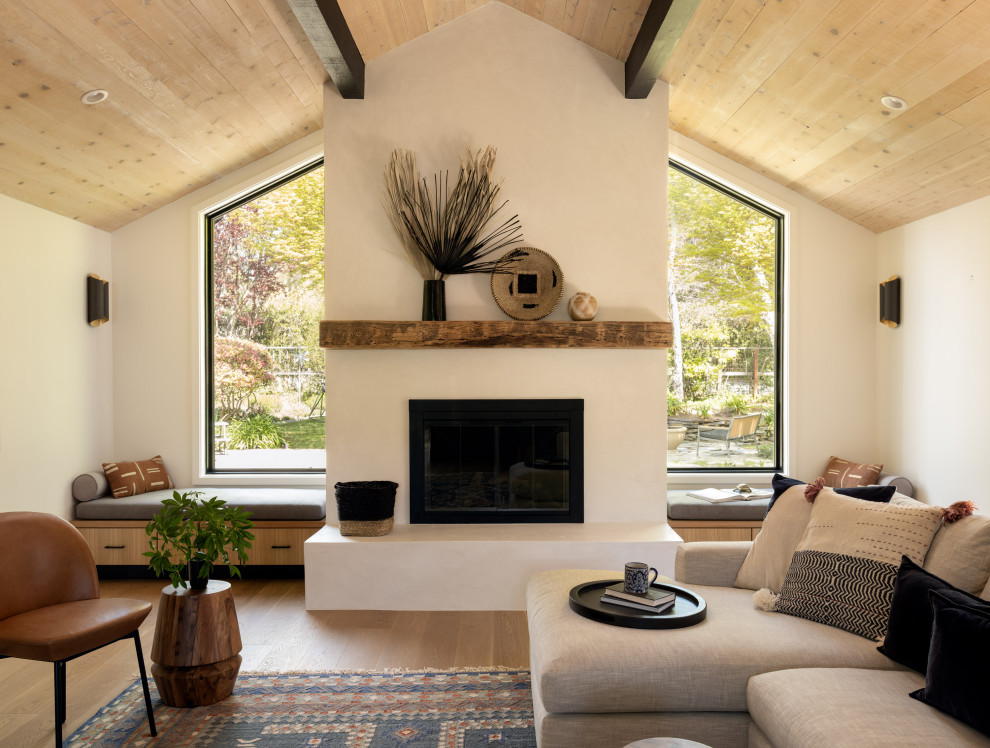 Mid-century modern living room photo in San Francisco