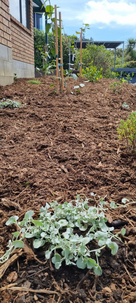 Raised Garden Bed - artistic garden