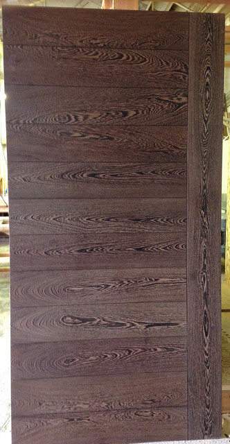 Contemporary Doors modern-eingang