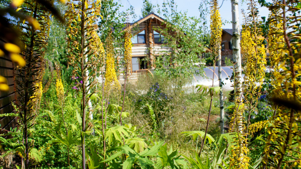 Цветники и композиции крупным планом