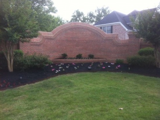 Design ideas for a mid-sized transitional full sun backyard landscaping for spring.