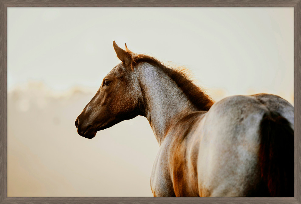 Equestrian Gaze Large Contemporary Prints And Posters by Wendover