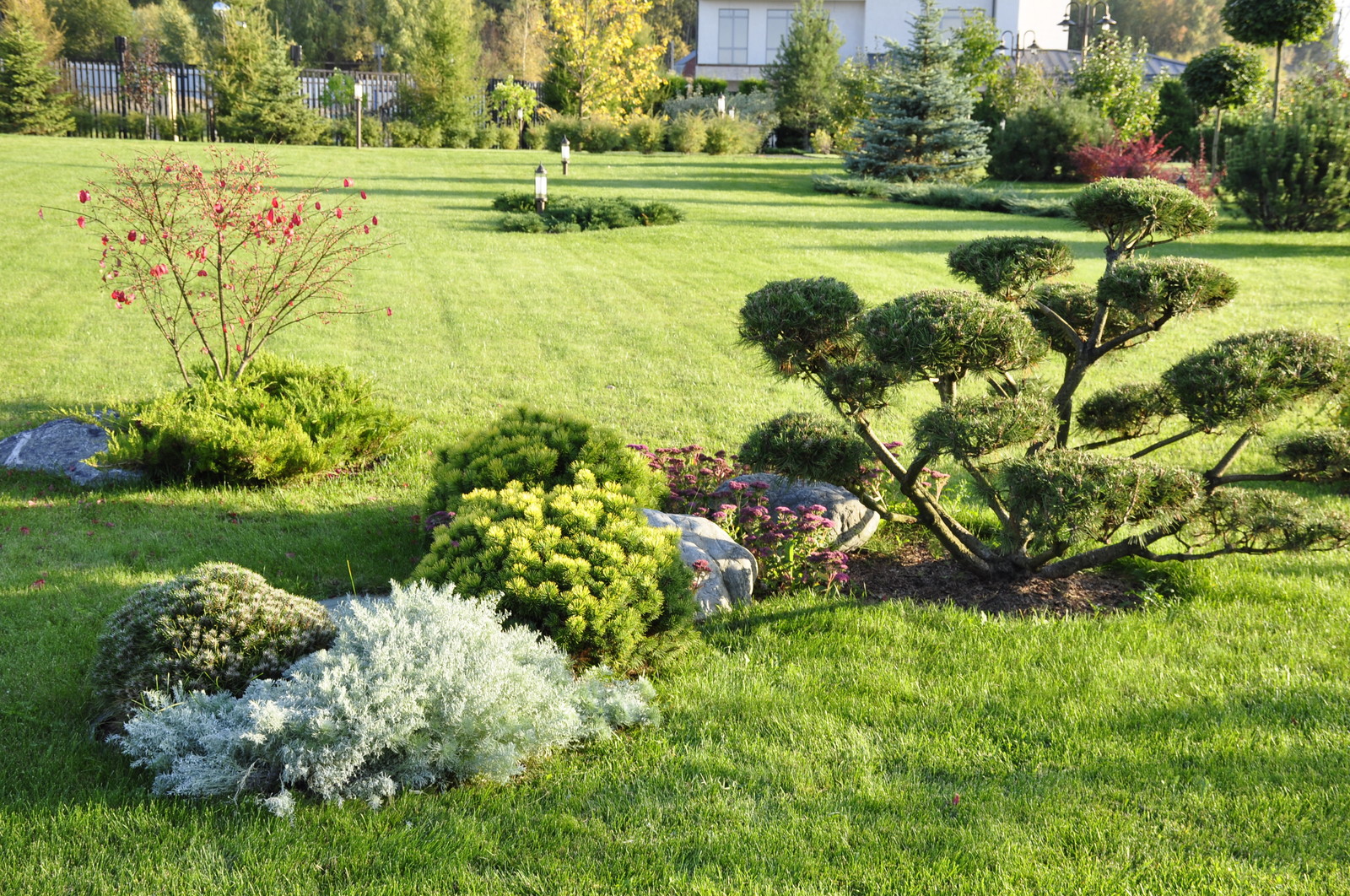 кп "Папушево" - Профессиональный уход за садом - 100% качество!