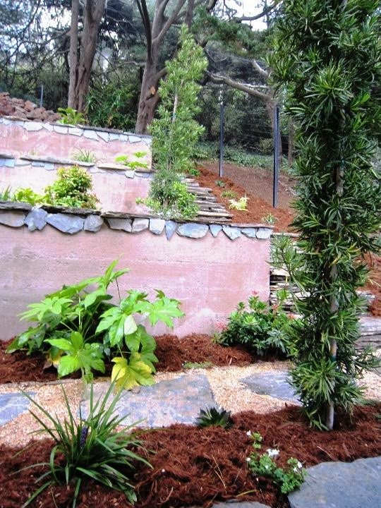 San Francisco Retaining Wall with Shade Garden