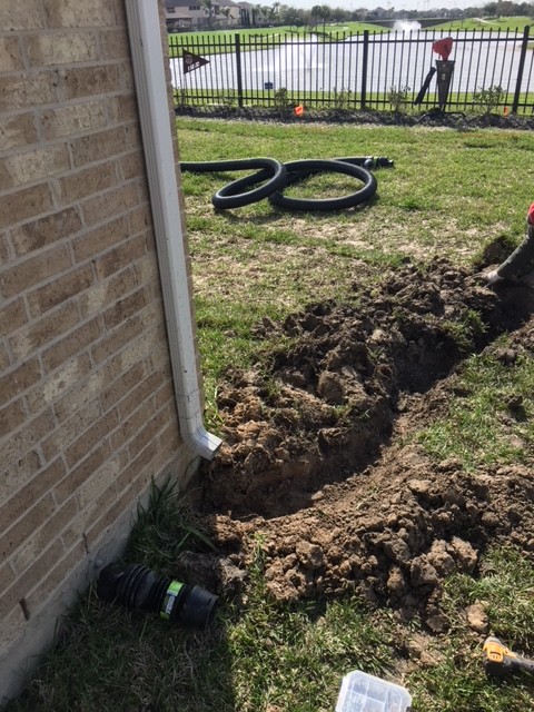 Drain spouts Tied into French Drains Irrigation