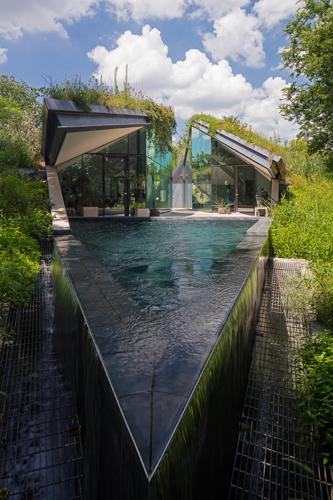 Design ideas for a contemporary custom-shaped infinity pool in Austin.