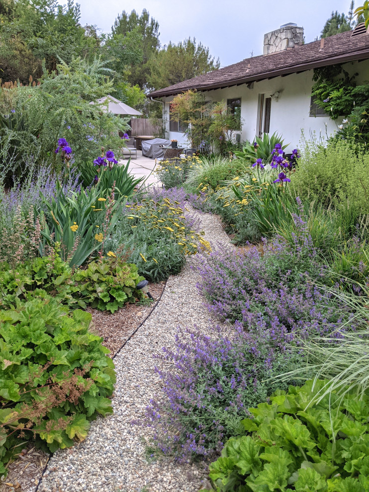 Свежая идея для дизайна: маленький засухоустойчивый сад на заднем дворе в средиземноморском стиле для на участке и в саду - отличное фото интерьера