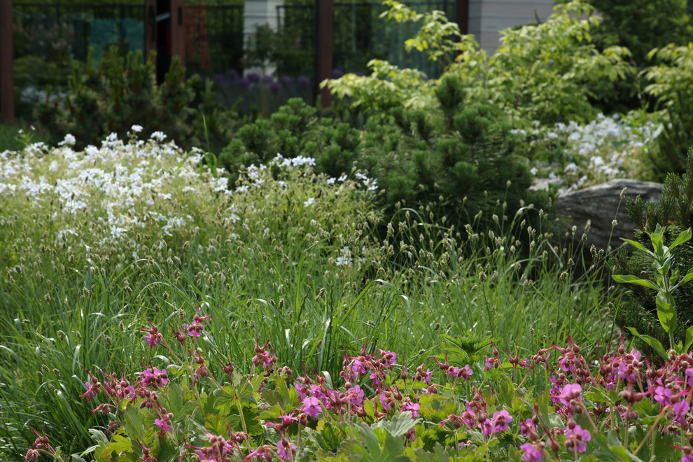 Северо-Запад