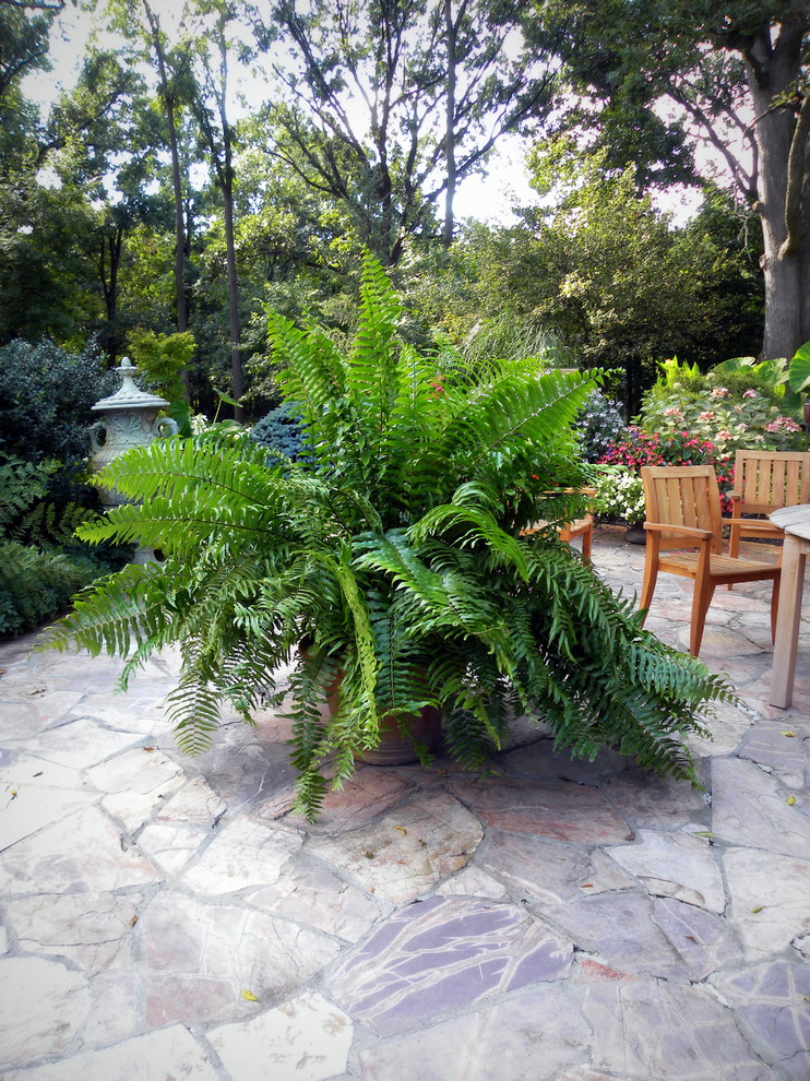 Photo of a small tropical backyard patio in Chicago with a container garden and natural stone pavers.