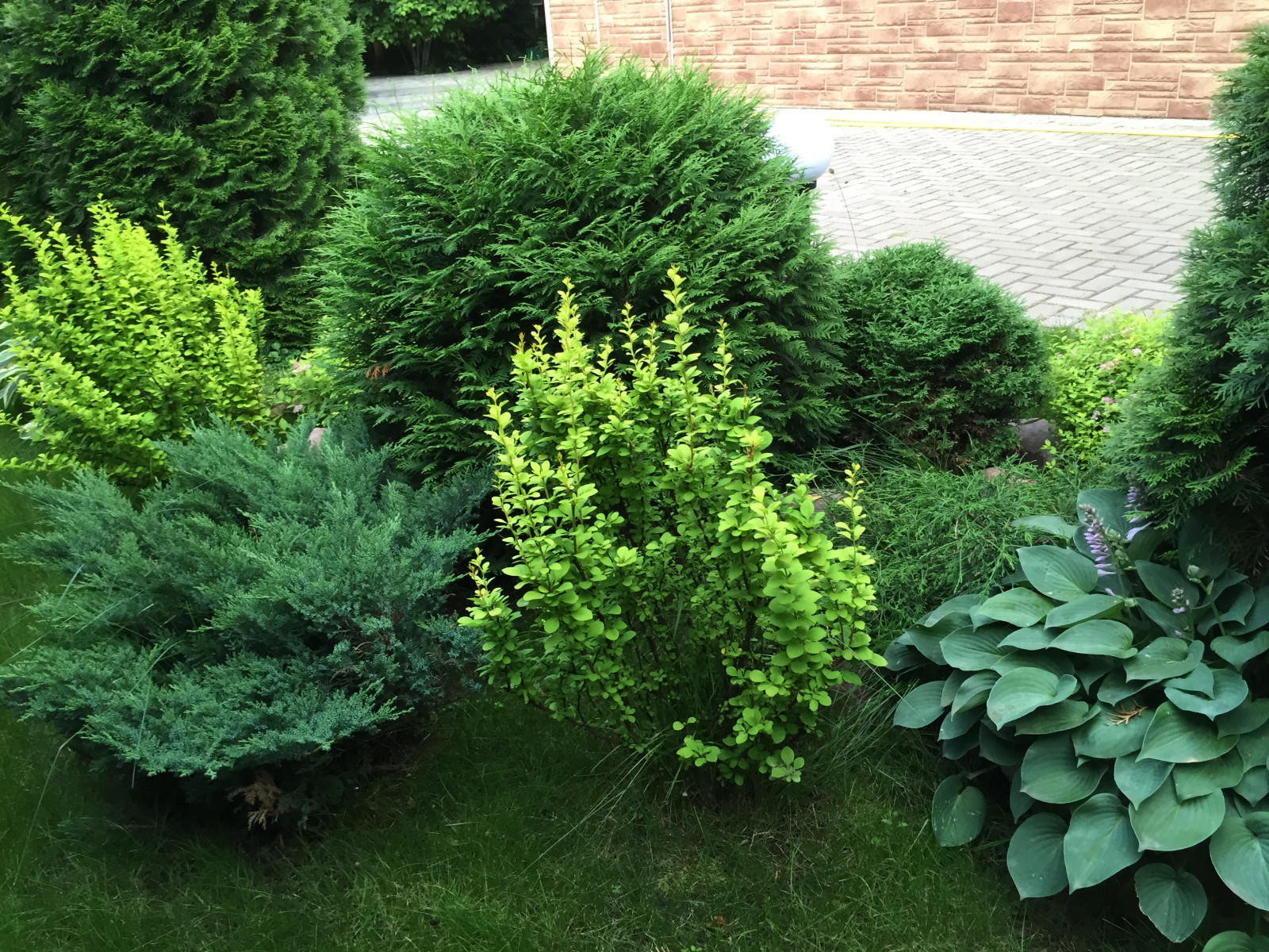 «Сад созерцания»