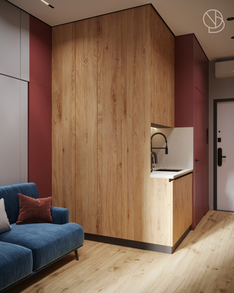 Гостиная и кухня