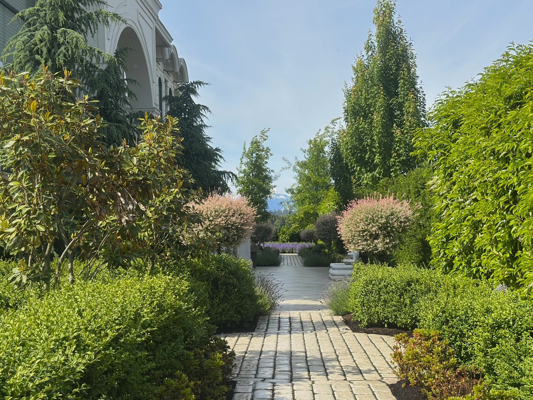 A French Themed Garden
