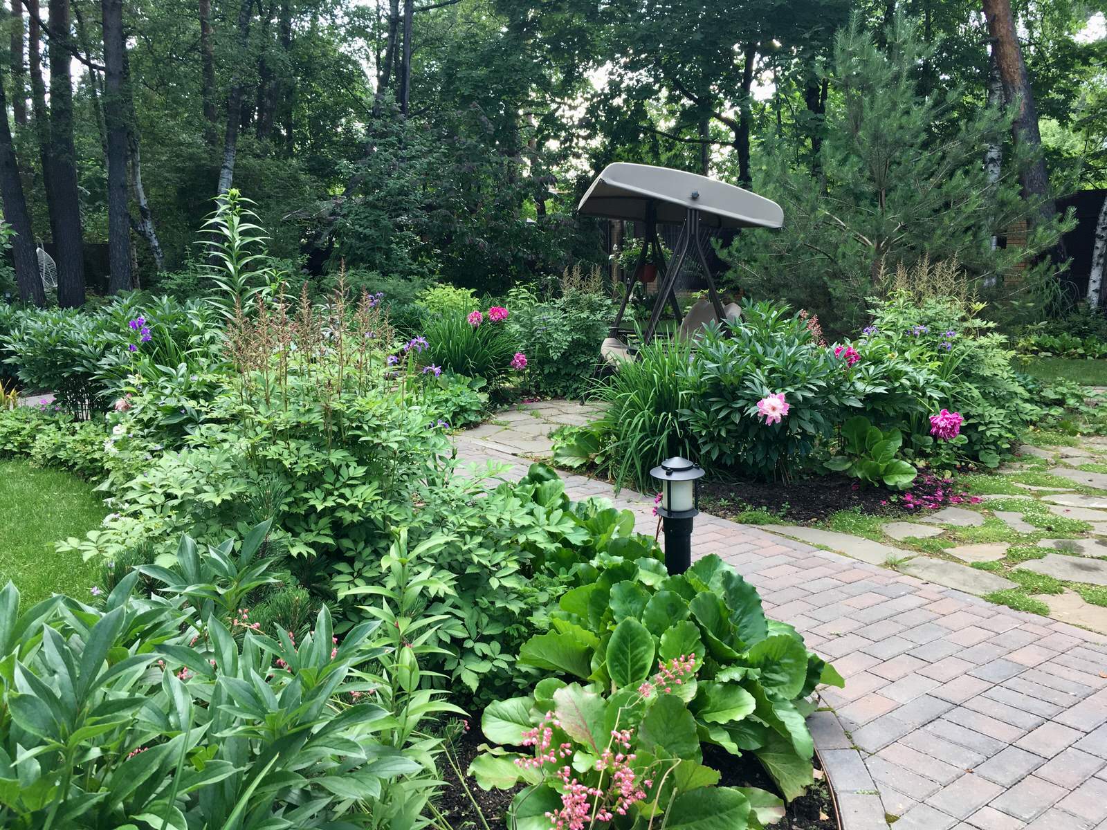 Белкин сад. Лето 2019