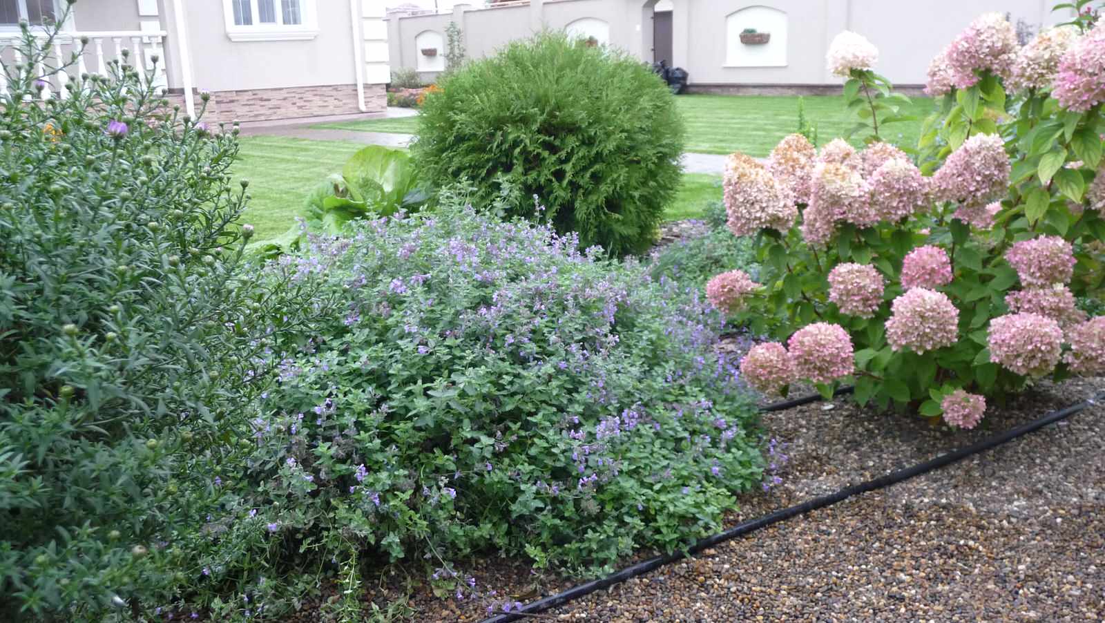 Сад для прекрасной семьи