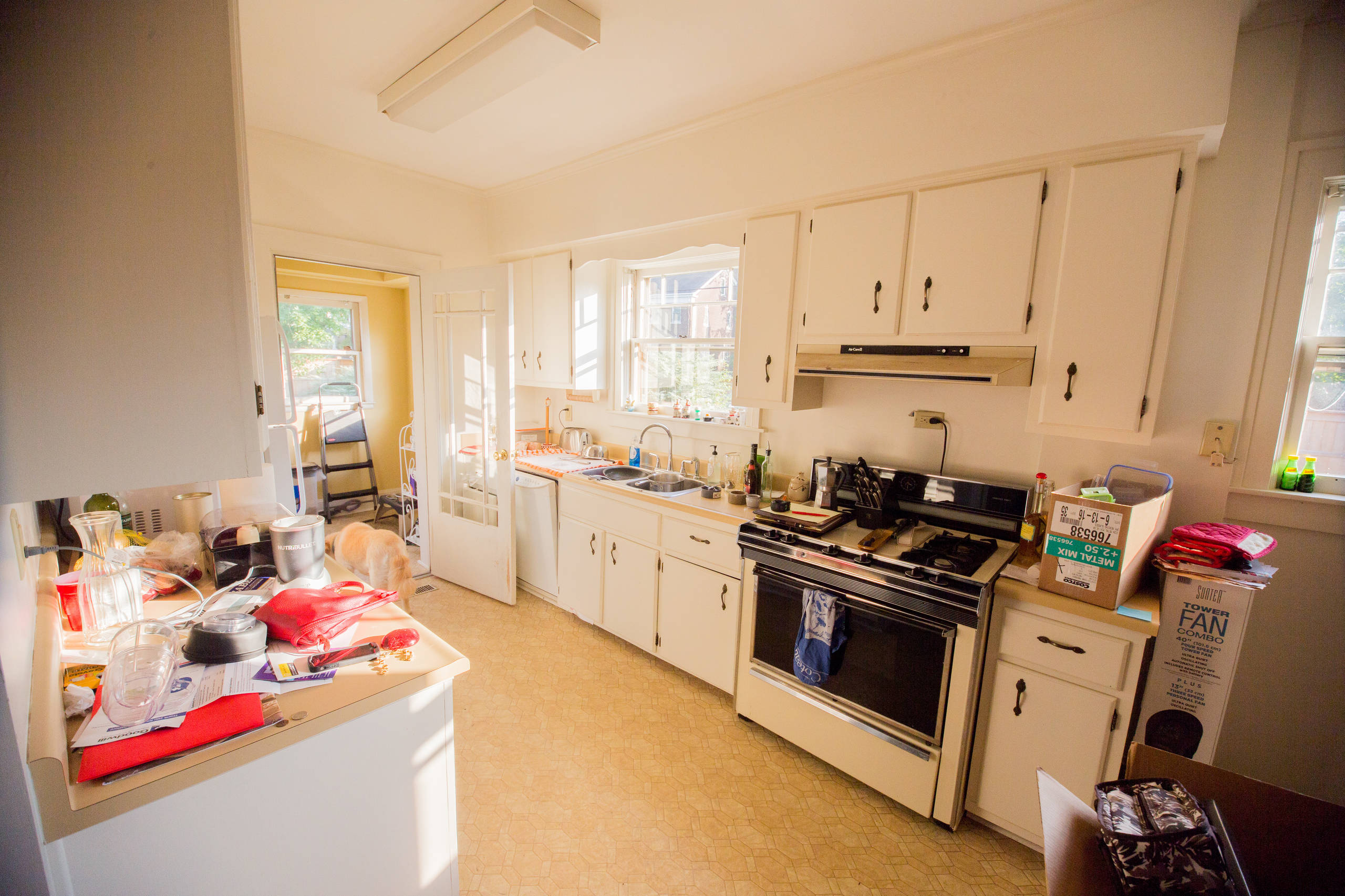 McDowell Remodel