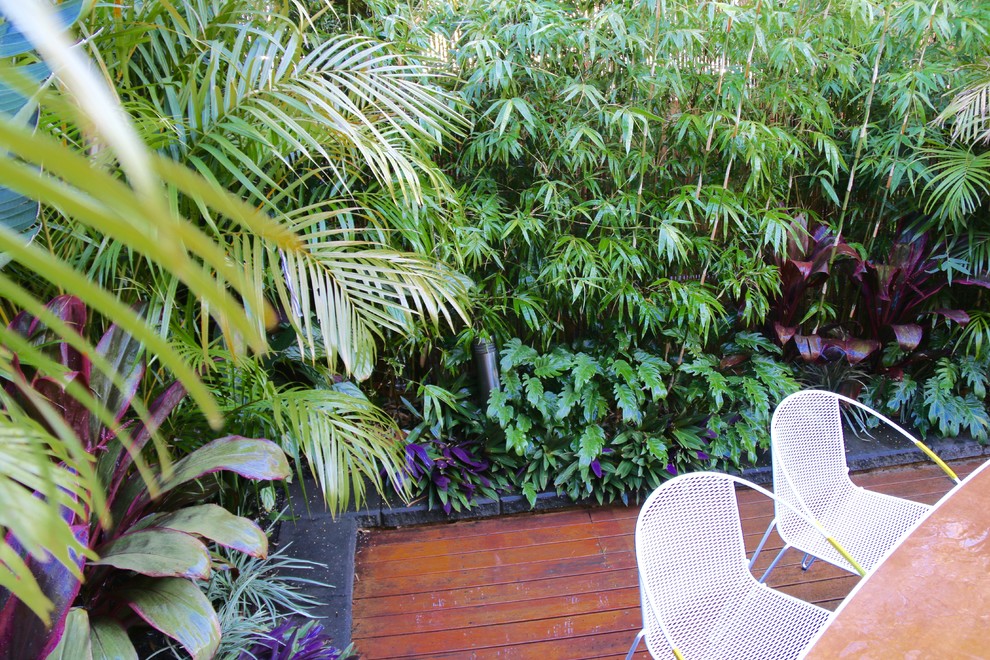 Photo of a small tropical backyard partial sun formal garden for summer in Sydney with a retaining wall and decking.