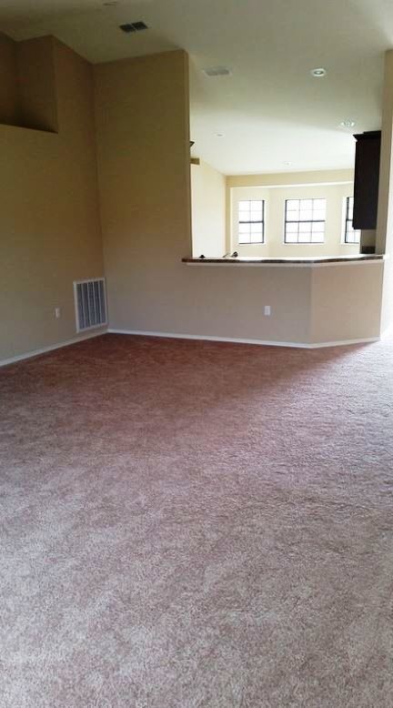 Inspiration for an expansive transitional open concept living room in Orlando with beige walls, carpet and no tv.