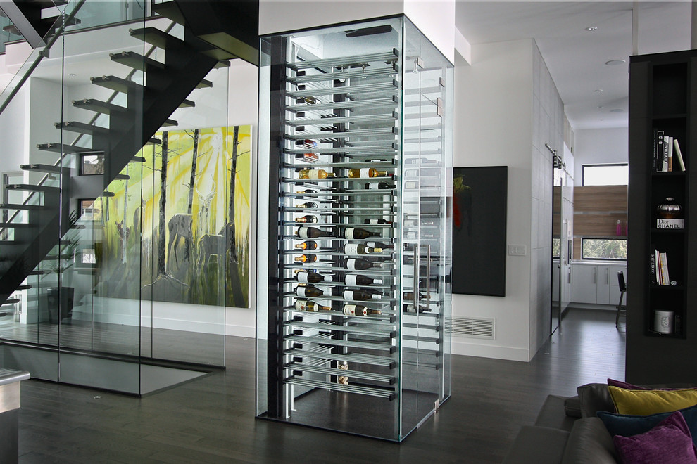 Design ideas for a small contemporary wine cellar in Other with dark hardwood floors, storage racks and brown floor.