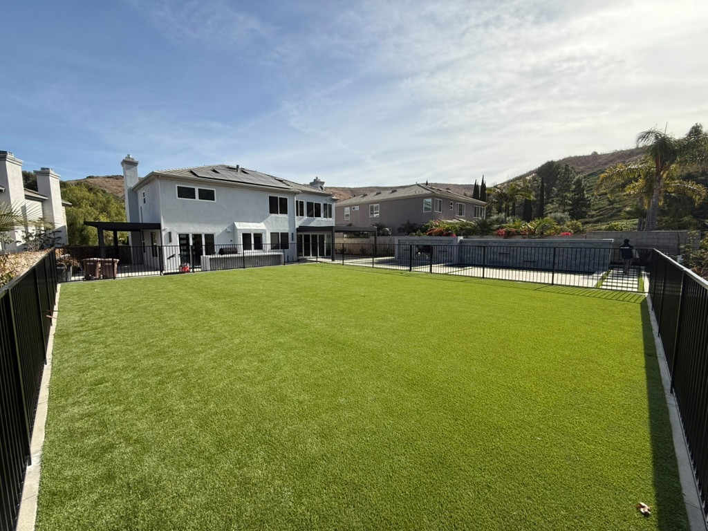 Open Backyard