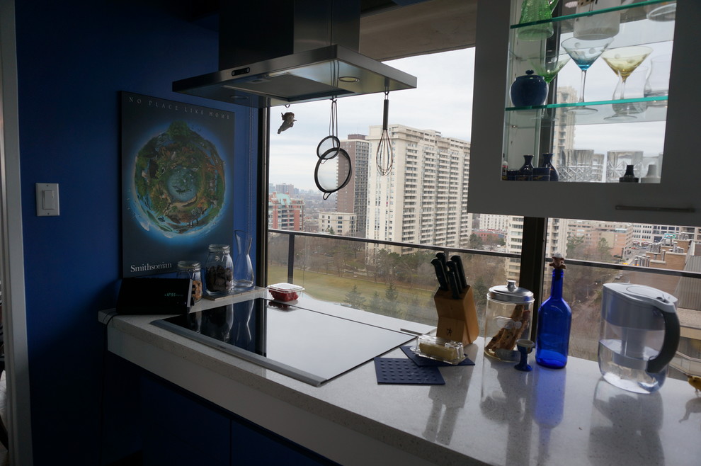 Transitional kitchen photo in Toronto