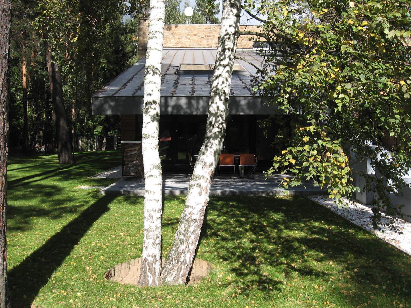 Дом в соснах у пруда