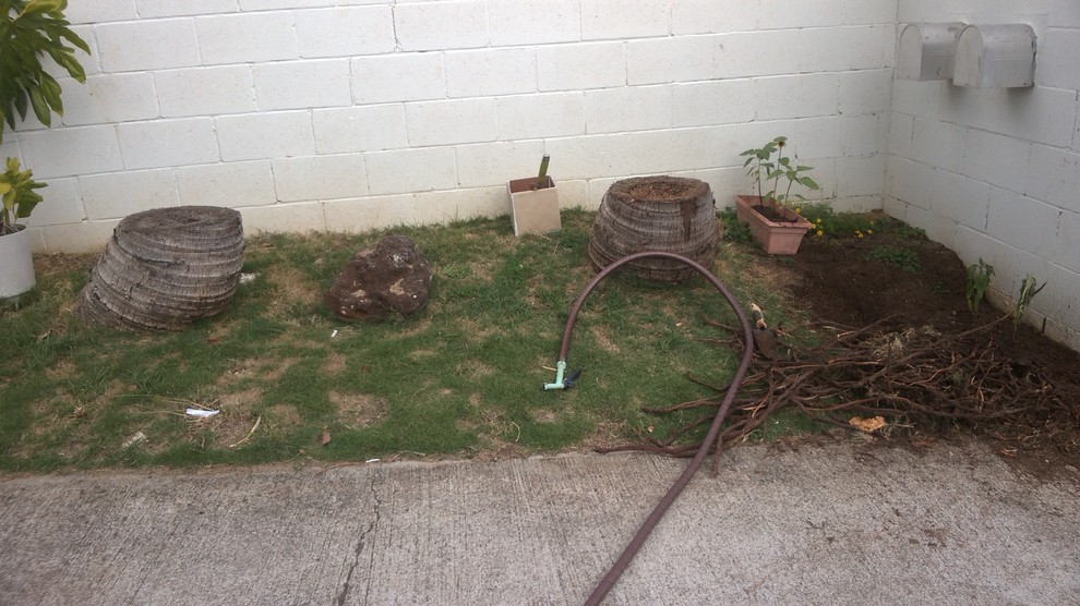 How do I remove the ROOTS of a coconut treee stump?