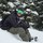 courtney_marie1869128