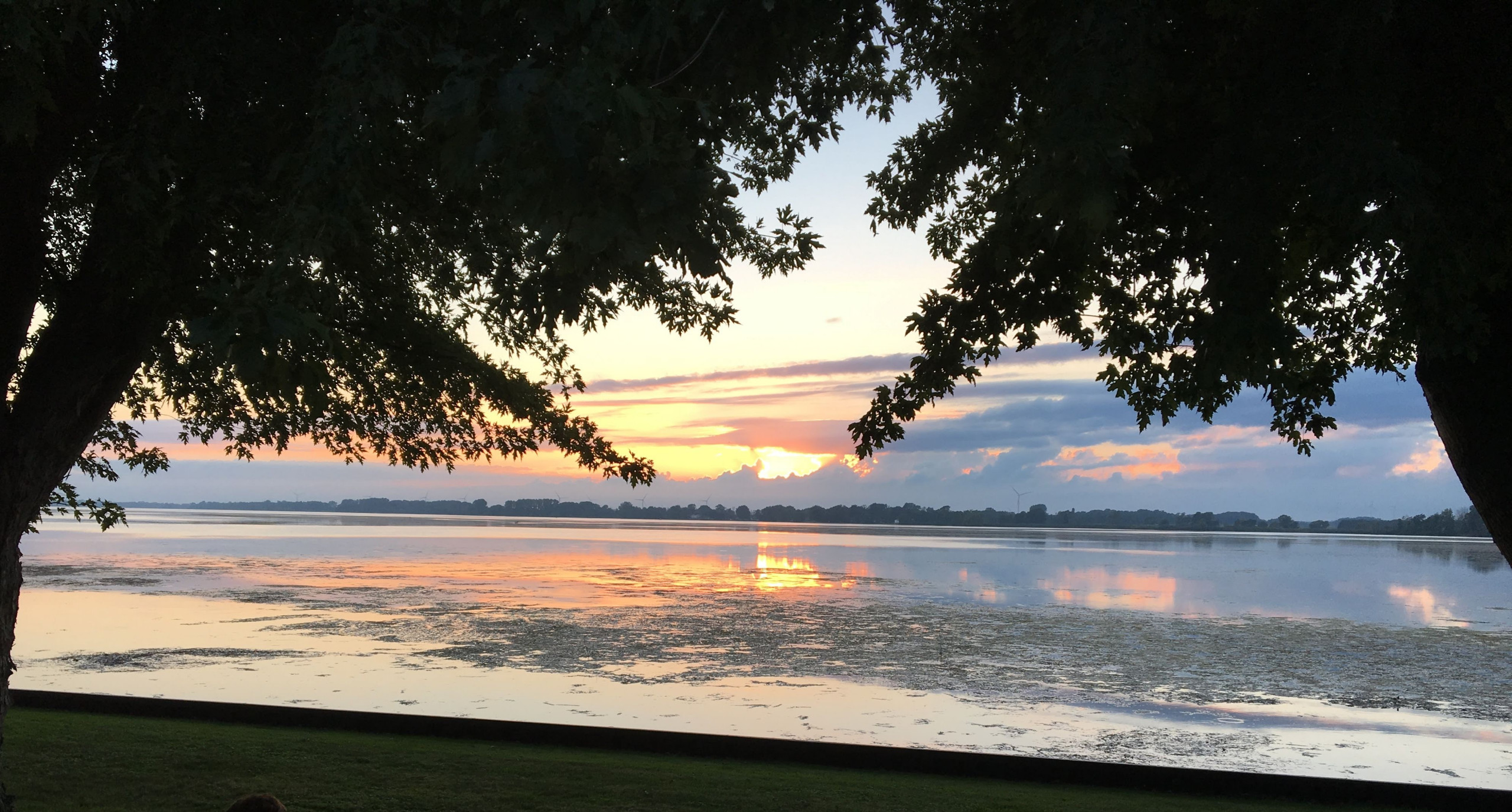 Bay view