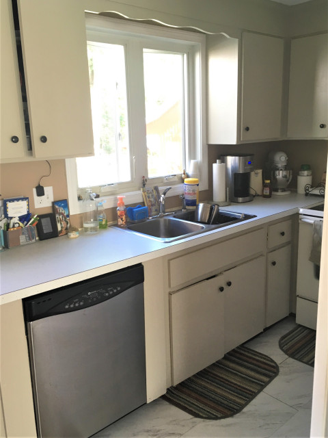 Project 101 transitional