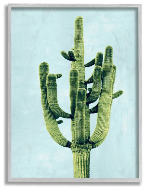 Pop Desert Cactus Plant Vintage Succulent Blue Green,1pc, each 11 x 14