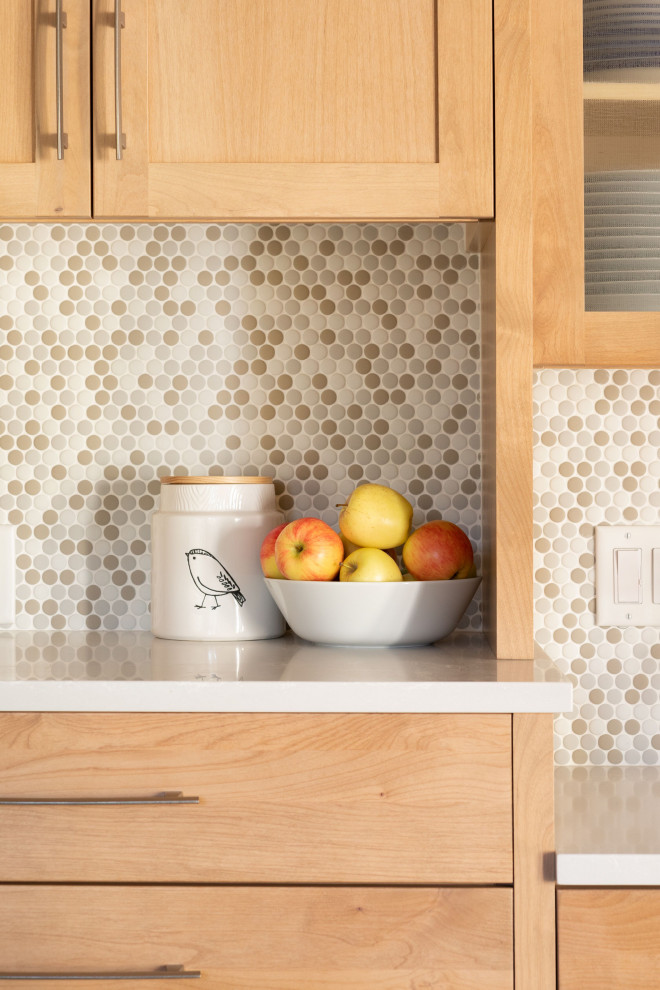 Inspiration for a transitional kitchen remodel in Boston