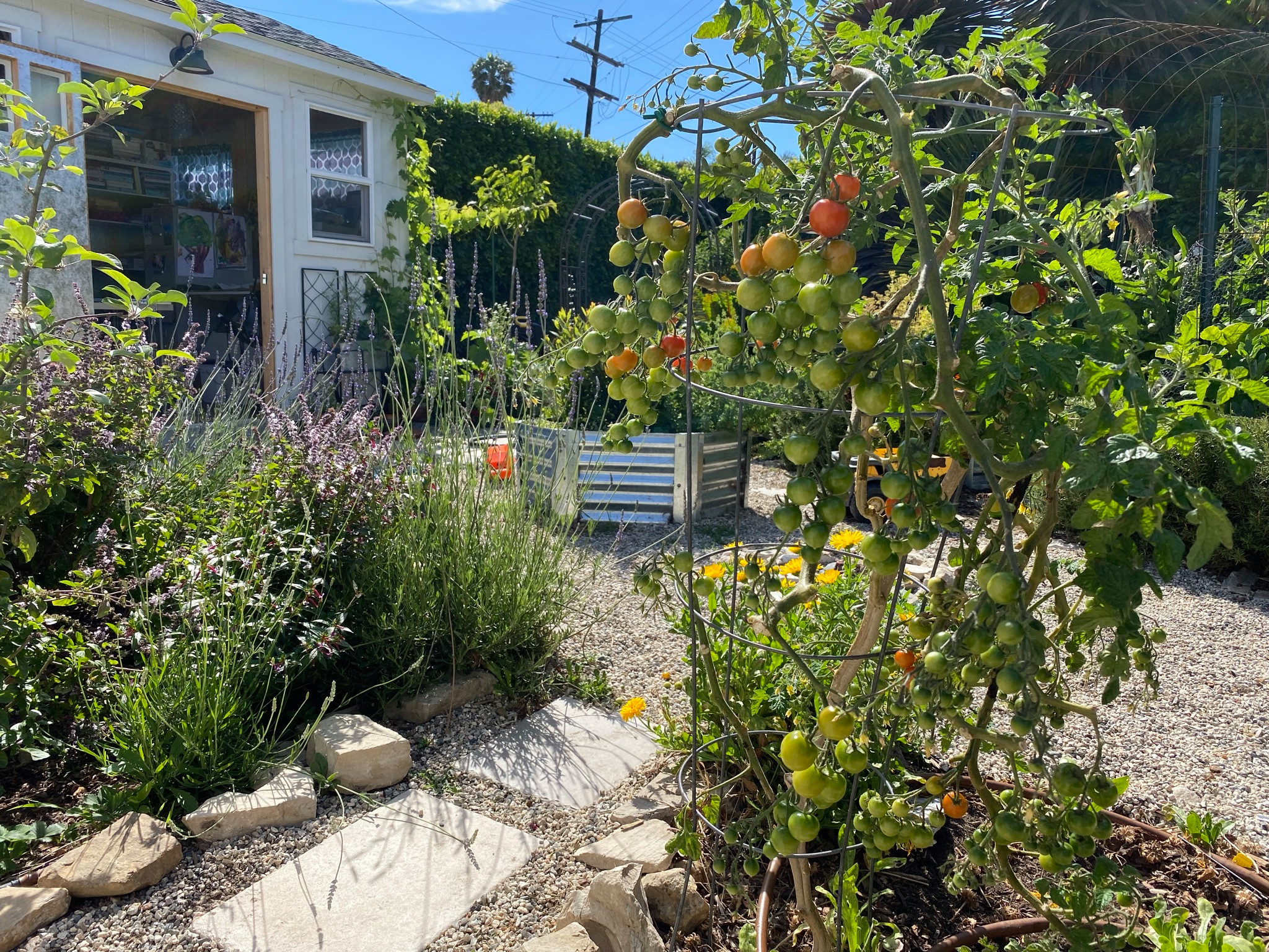 Rustic Kitchen Garden