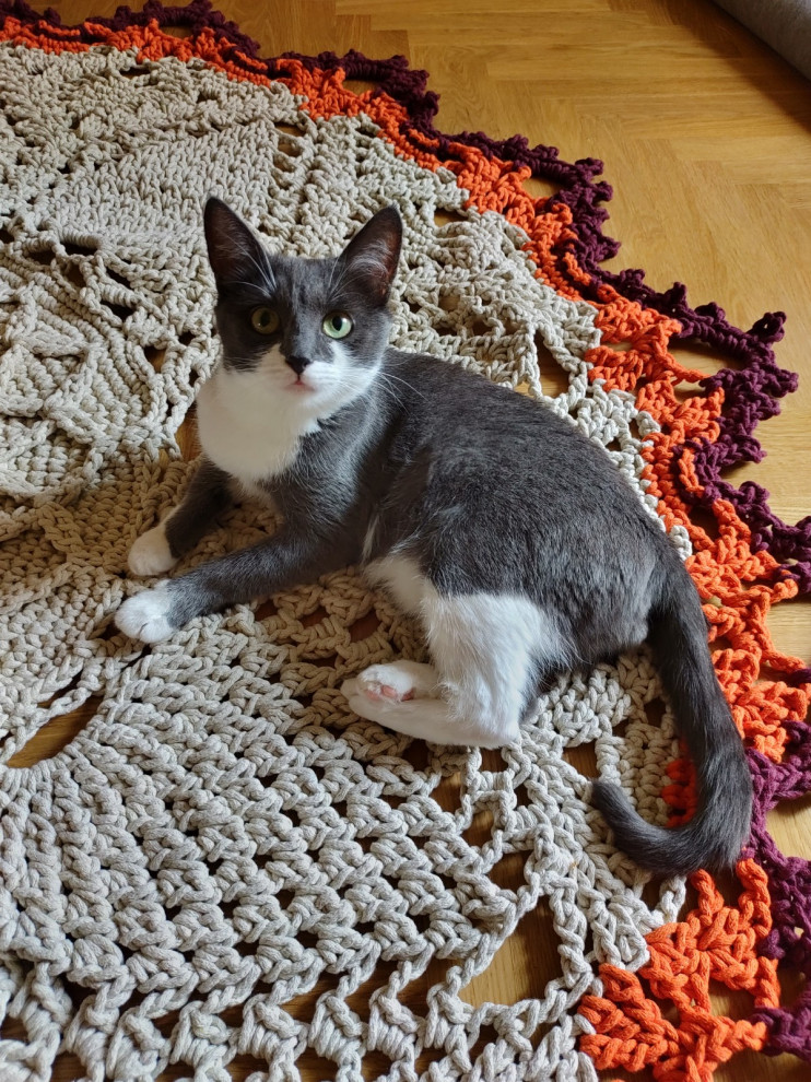 ДЕКОРИРОВАНИЕ коврами