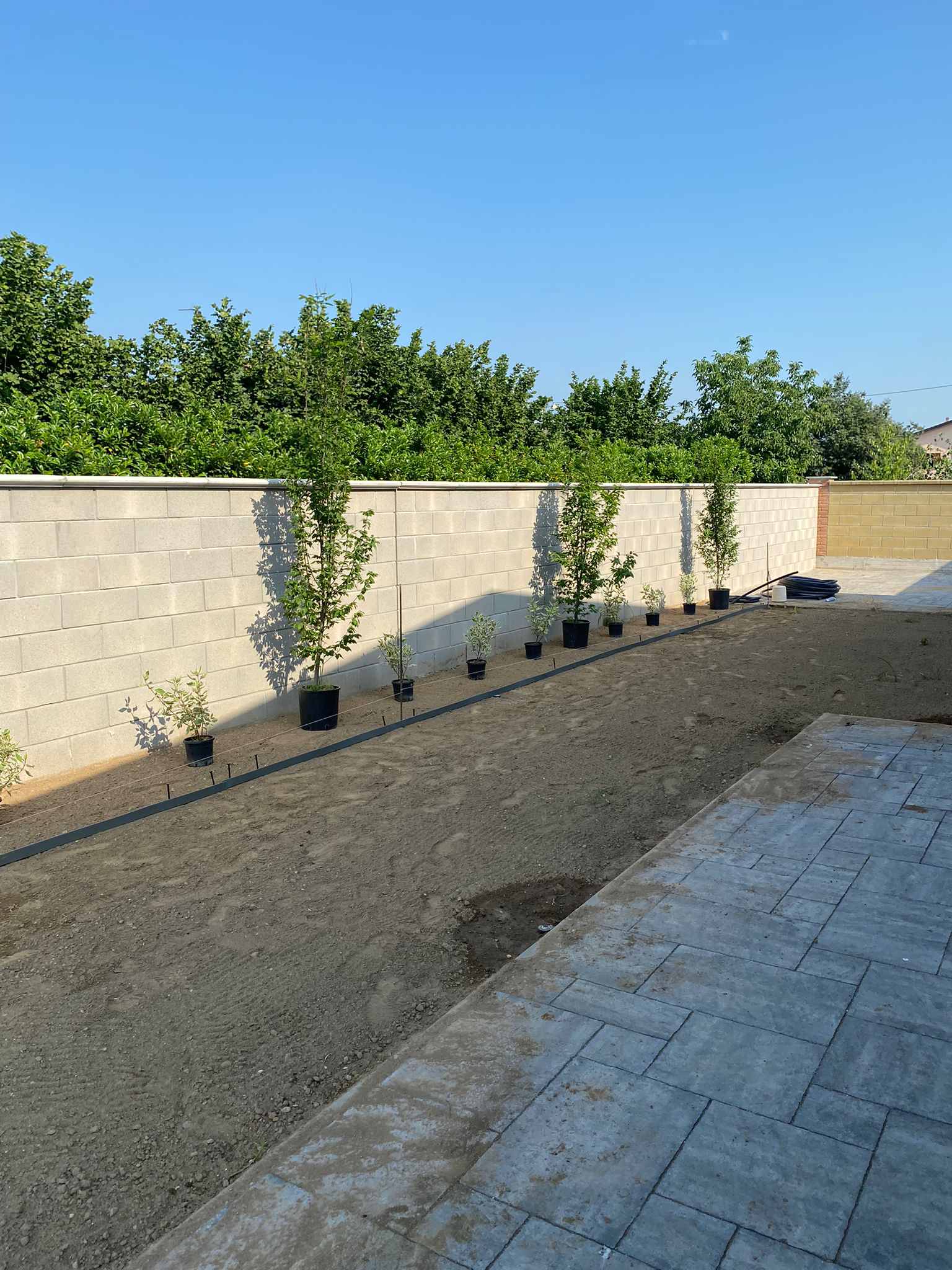 Realizzazione Giardino per villa moderna