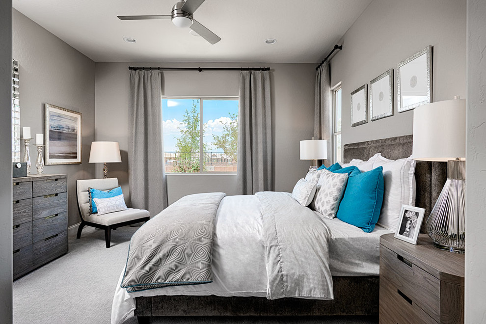 Contemporary master bedroom in Denver with carpet and no fireplace.