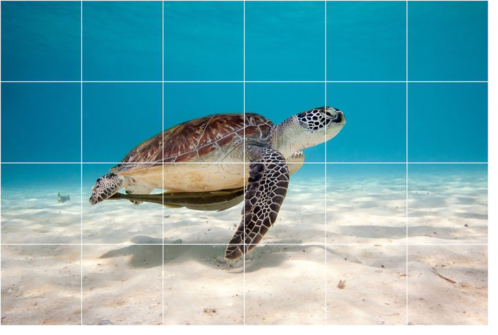Turtle Picture Wall Back Splash Tile Mural 1989, 25.5"x17"
