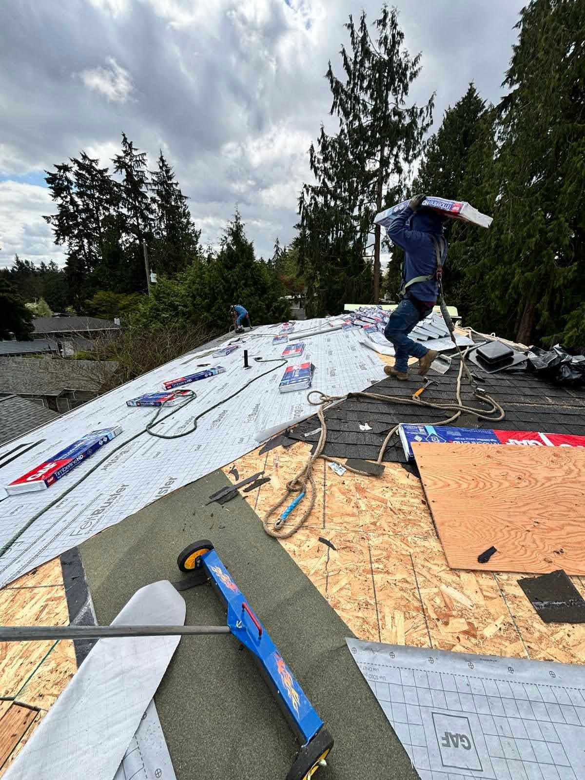 Roof Replacement