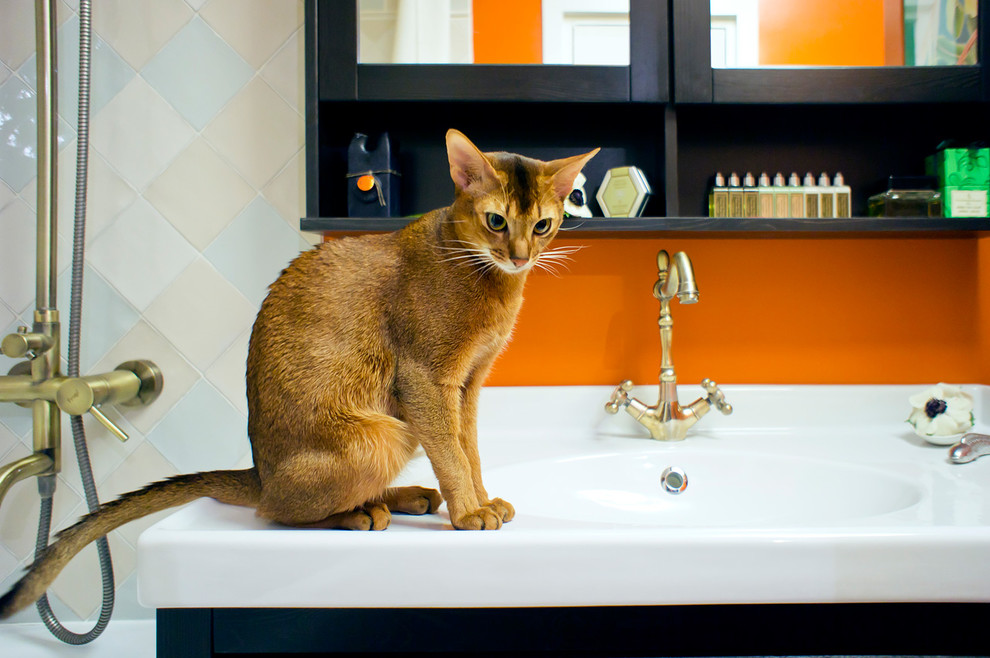 Яркий санузел