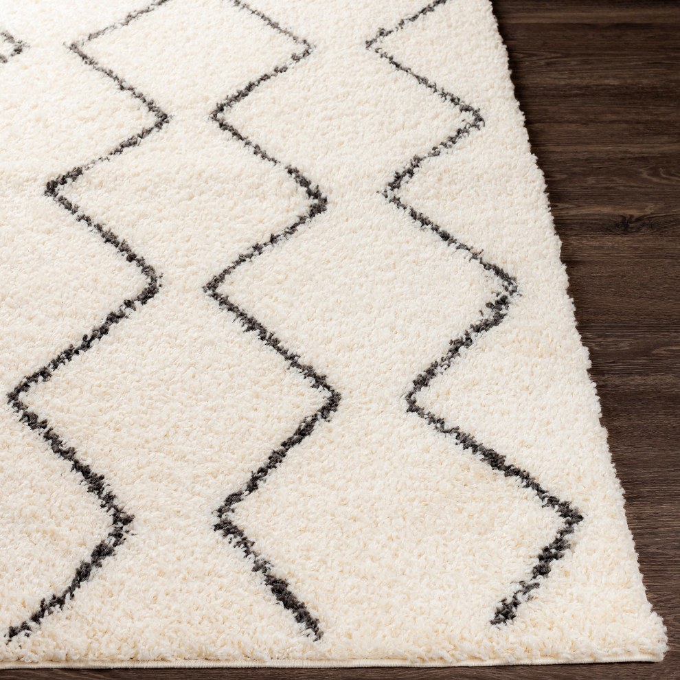 Beni shag BSH-2302 Area Rug - Scandinavian - Area Rugs - by HedgeApple ...