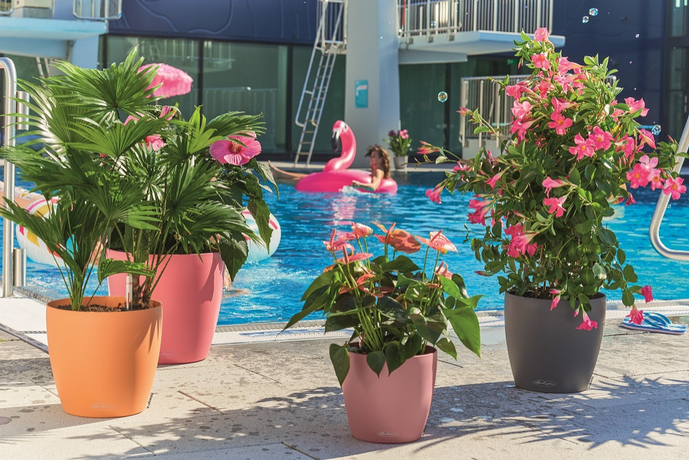 Самый популярный летний стиль