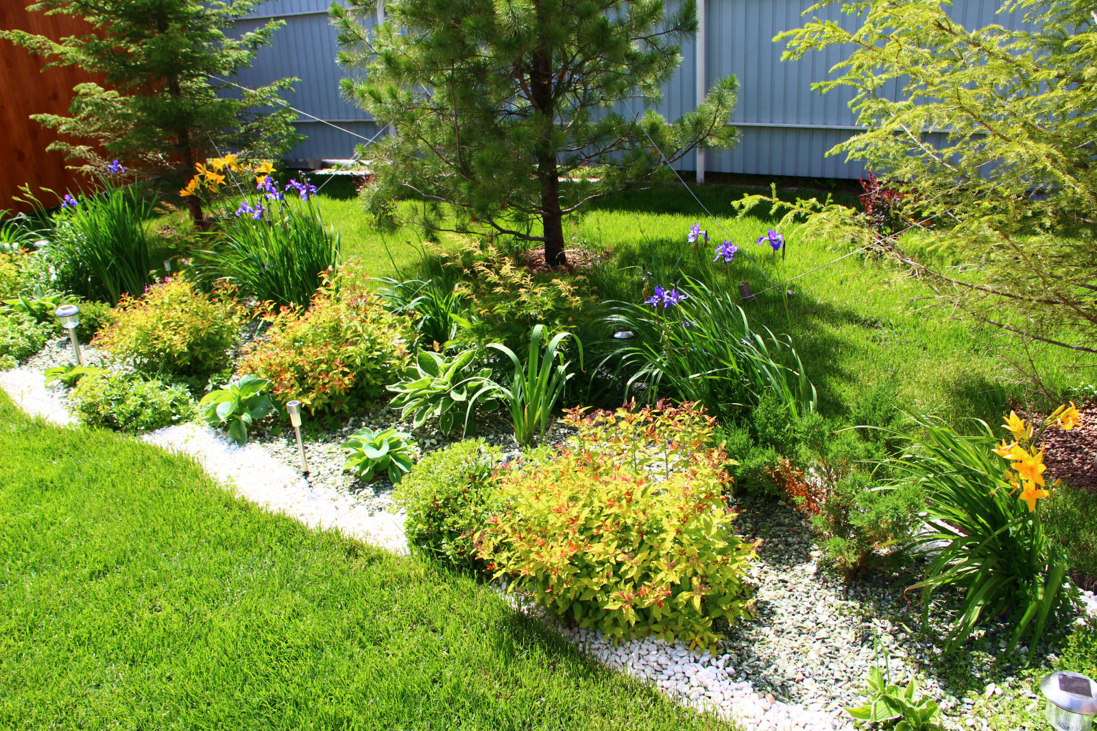 Озеленение под ключ от Ландшафт74