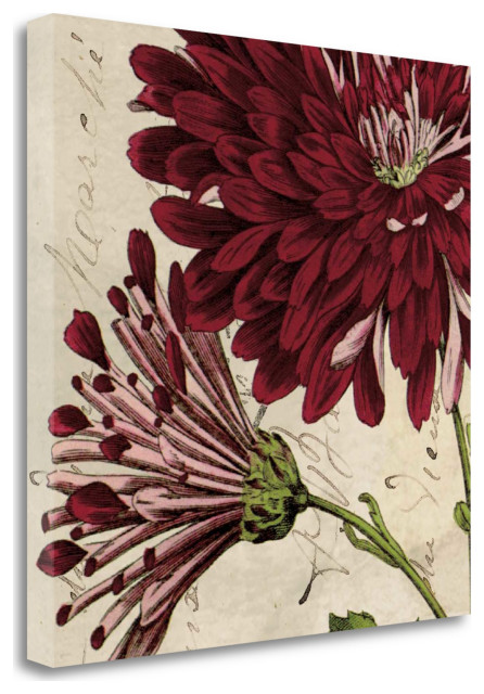 Joyful Bloom Ii By Sabine Berg Giclee Print On Gallery Wrap Canvas 35 X35 Contemporary Prints And Posters By Virventures